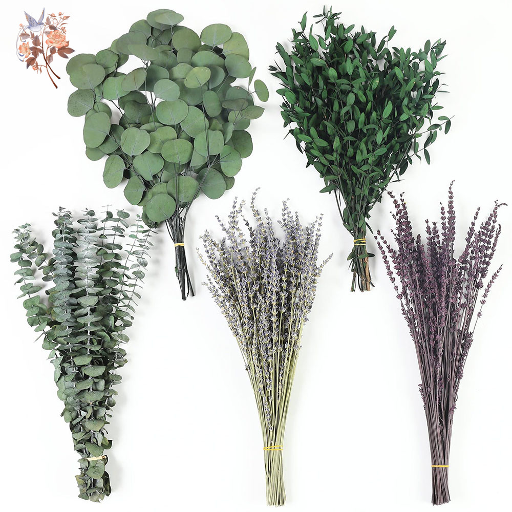 Home Fragrance Fillers - 110Pcs Mix Dried Eucalyptus Leaves Lavender