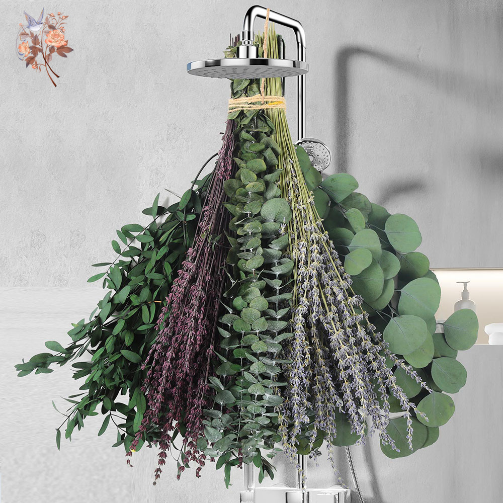110Pcs Mix Dried Eucalyptus Le - đánh giá và giá Home Fragrance Fillers