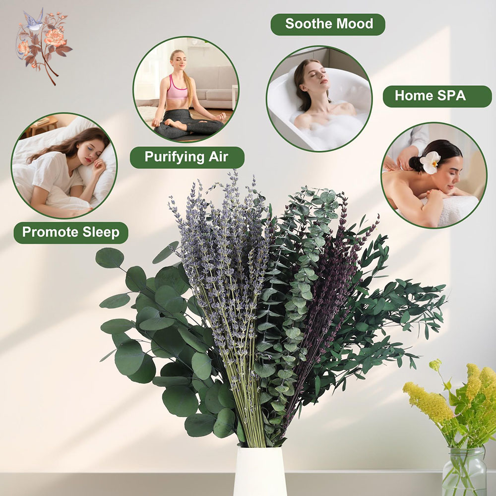 110Pcs Mix Dried Eucalyptus Le - đánh giá và giá Home Fragrance Fillers