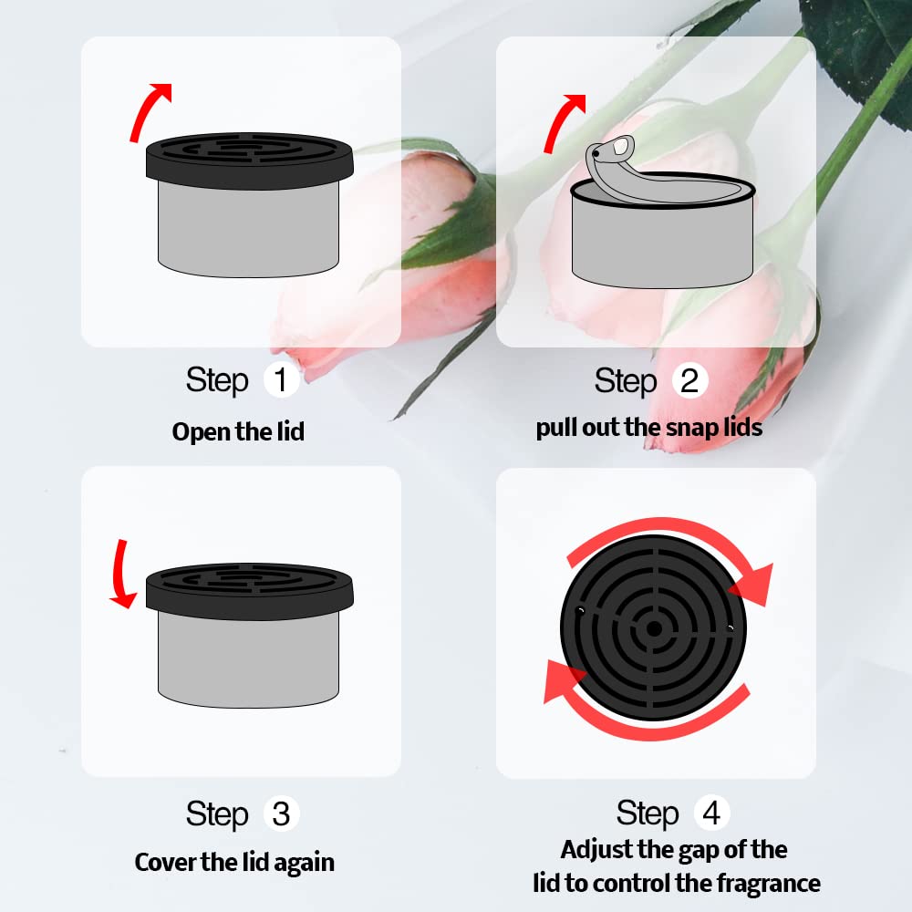 Car Air Freshener:   Coconut S - đánh giá và giá Home Fragrance Verbena