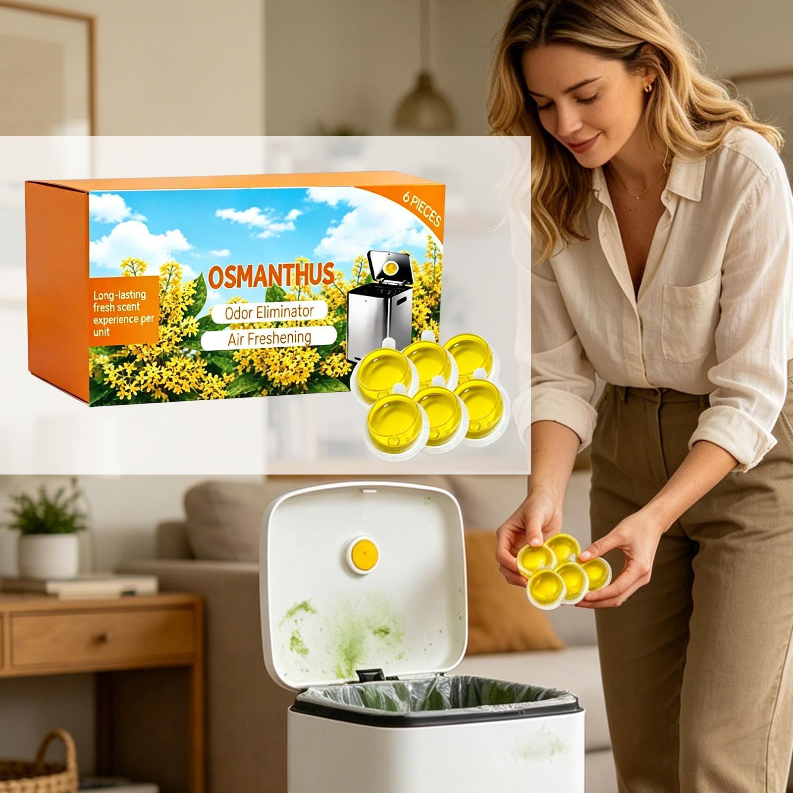 Trash Can Freshener 6Pcs/set L - đánh giá và giá Home Fragrance Gel